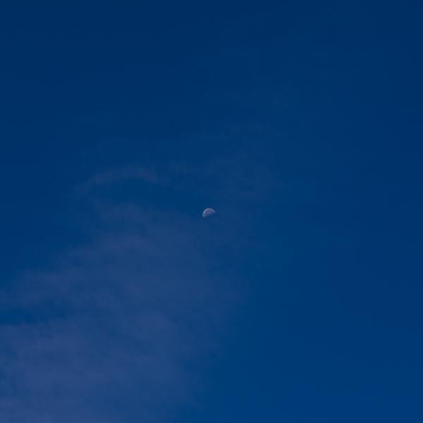 moon-thumb.jpg